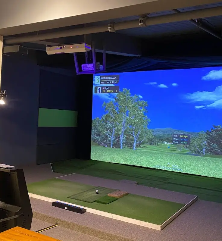 True Swing Indoor Golf