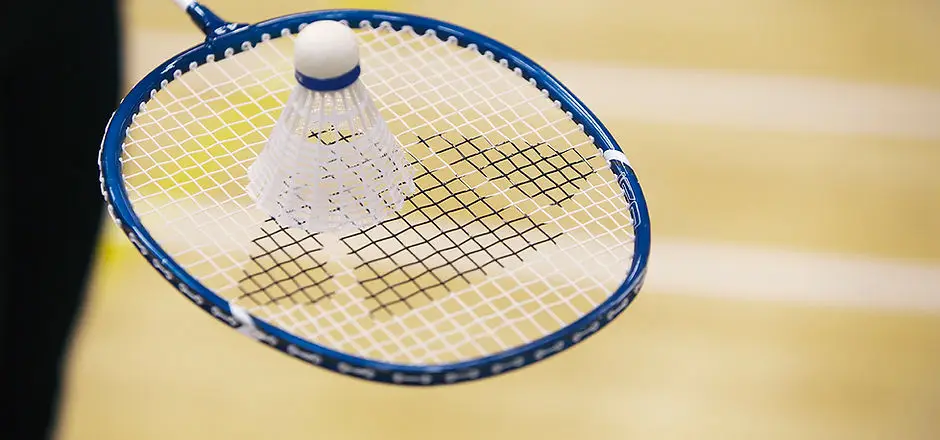 Glendowie Social Badminton Club