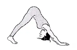 Viniyoga Angers