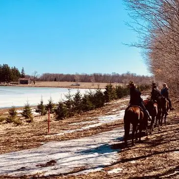 Shoreside Stables (formerly All About Horses)