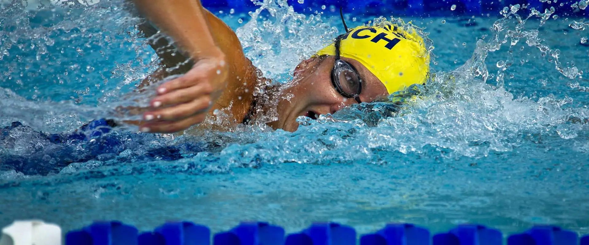 Blanc Mesnil Sport Natation