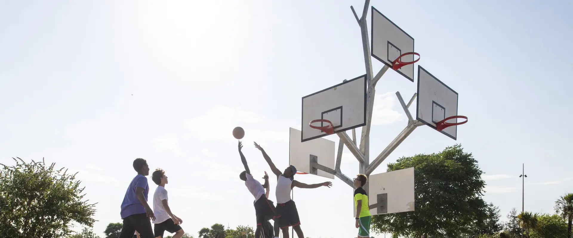 L'arbre à basket