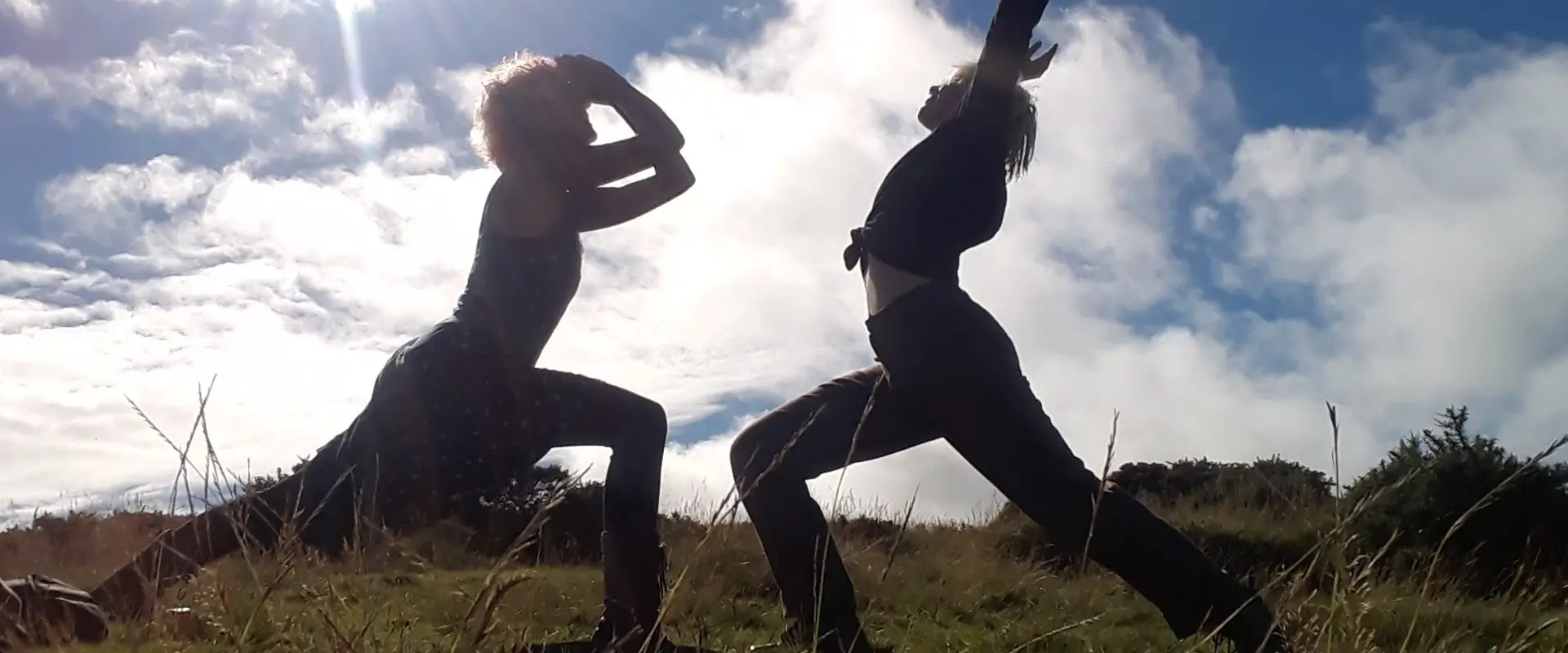 Shenyoga (Also Pregnancy and Postnatal)