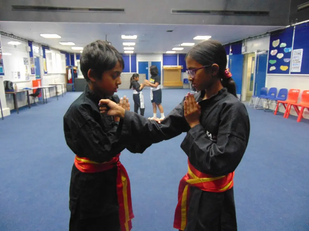 Schools Of Kung Fu Harrow