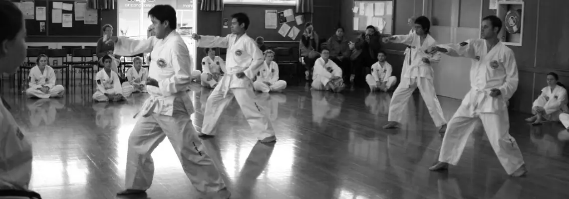Spirit Taekwon-Do