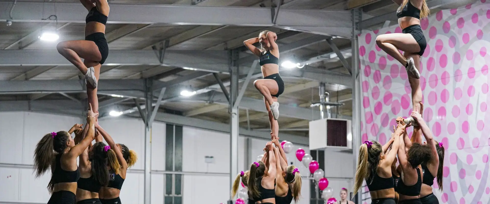 NORTH EAST CHEER: Newcastle Skyline