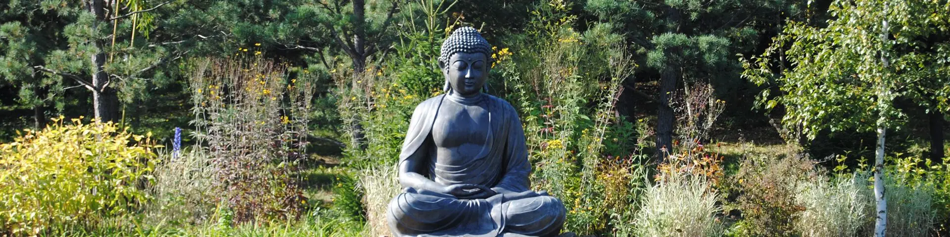 Yoga Ayurveda