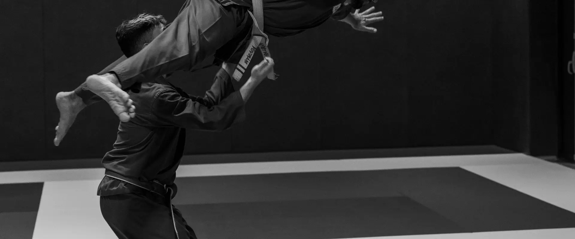 Van Hoa Vovinam Viêt-Vo-Dao