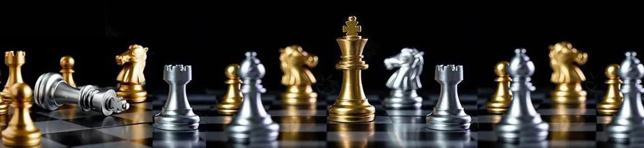 Échecs Club de Villeurbanne