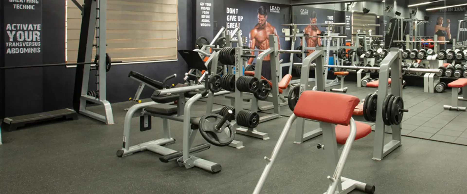 Lead Fitness