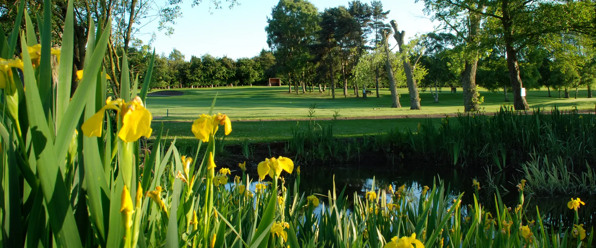 Pike Hills Golf