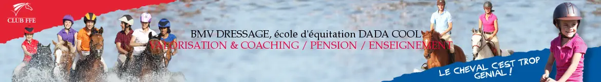 Centre Equestre Club Pension Bmv Dressage Ecole Equitation Dada Cool