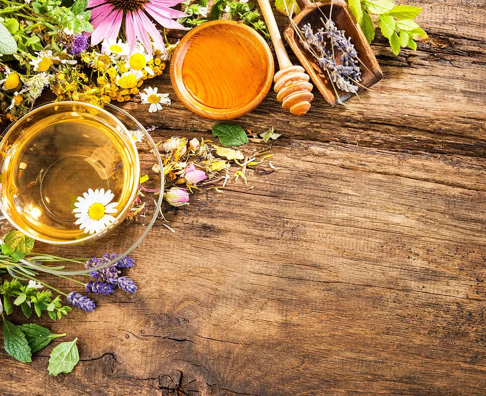 Sacred Wisdom Yoga Studio ~ Sacred Harvest