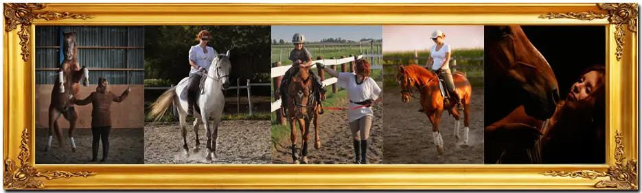 Mange Du Centaure Equestrian Center And School D'quitation