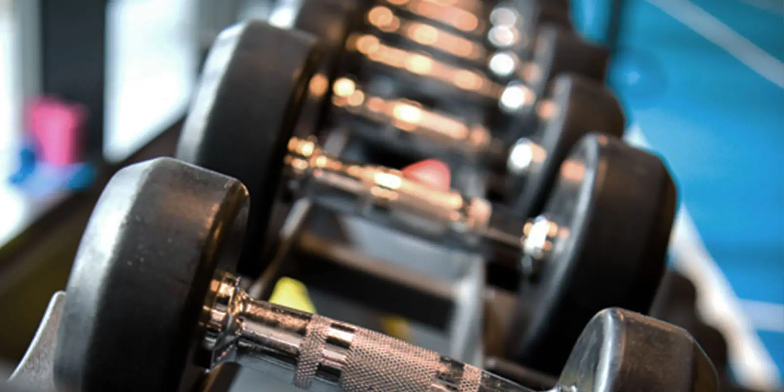 Strength and Conditioning Education