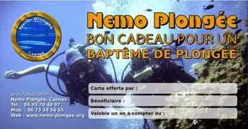 Nemo Plongée