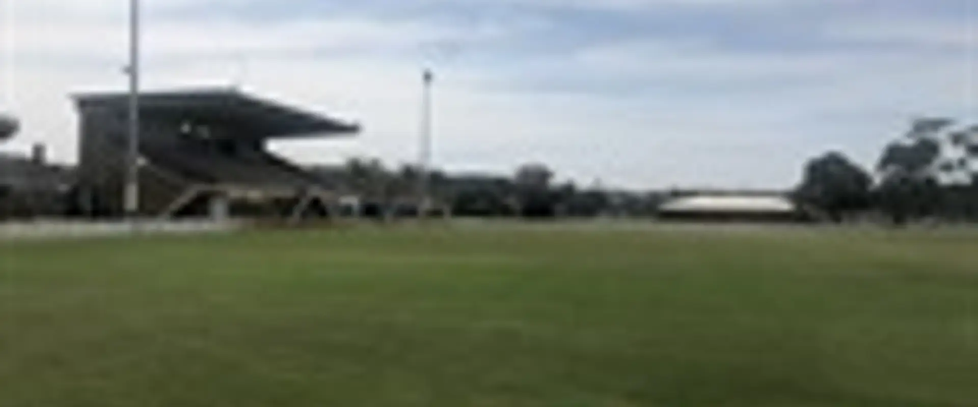 Allen Davis Fields