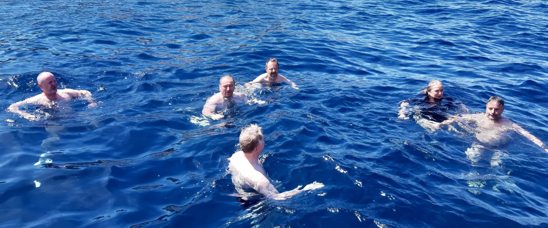 CDM - Club des dauphins de Monplaisir - Plongée sous-marine à Lyon