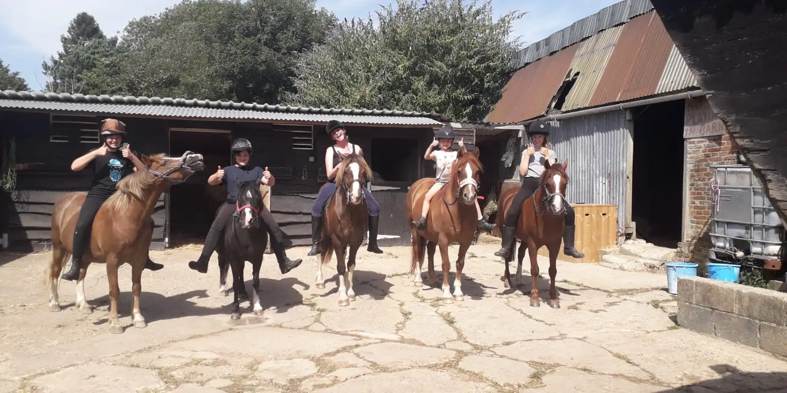 Horam Manor Riding Stables