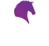 Northern Heaven
