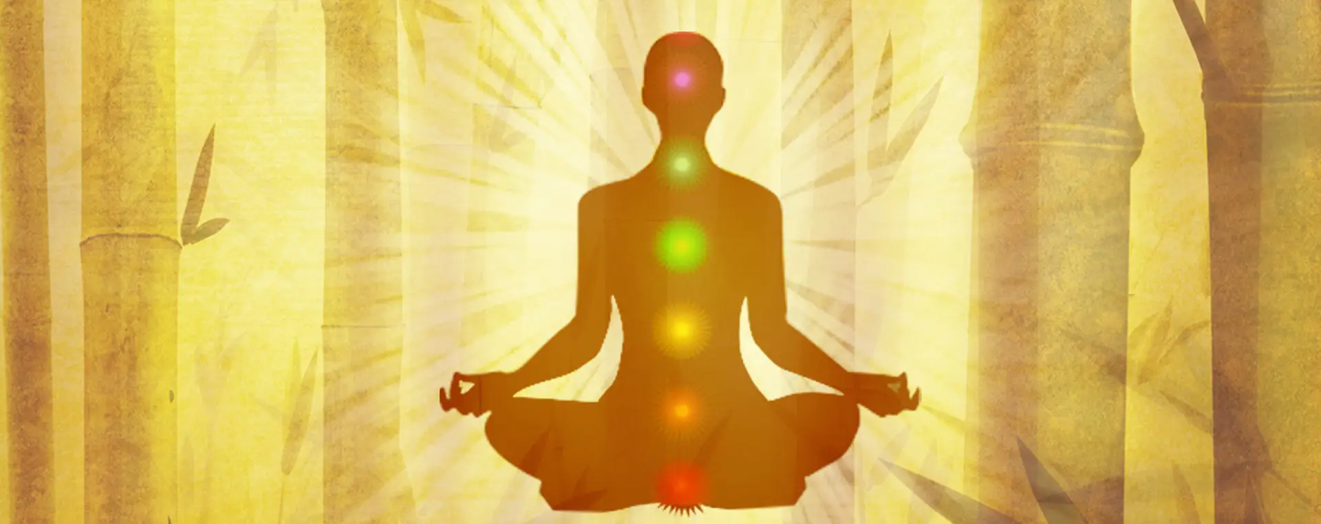 Yoga Prana Vidya