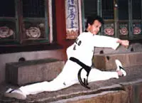 Taekwondo Hapkido Castelnau Dojang