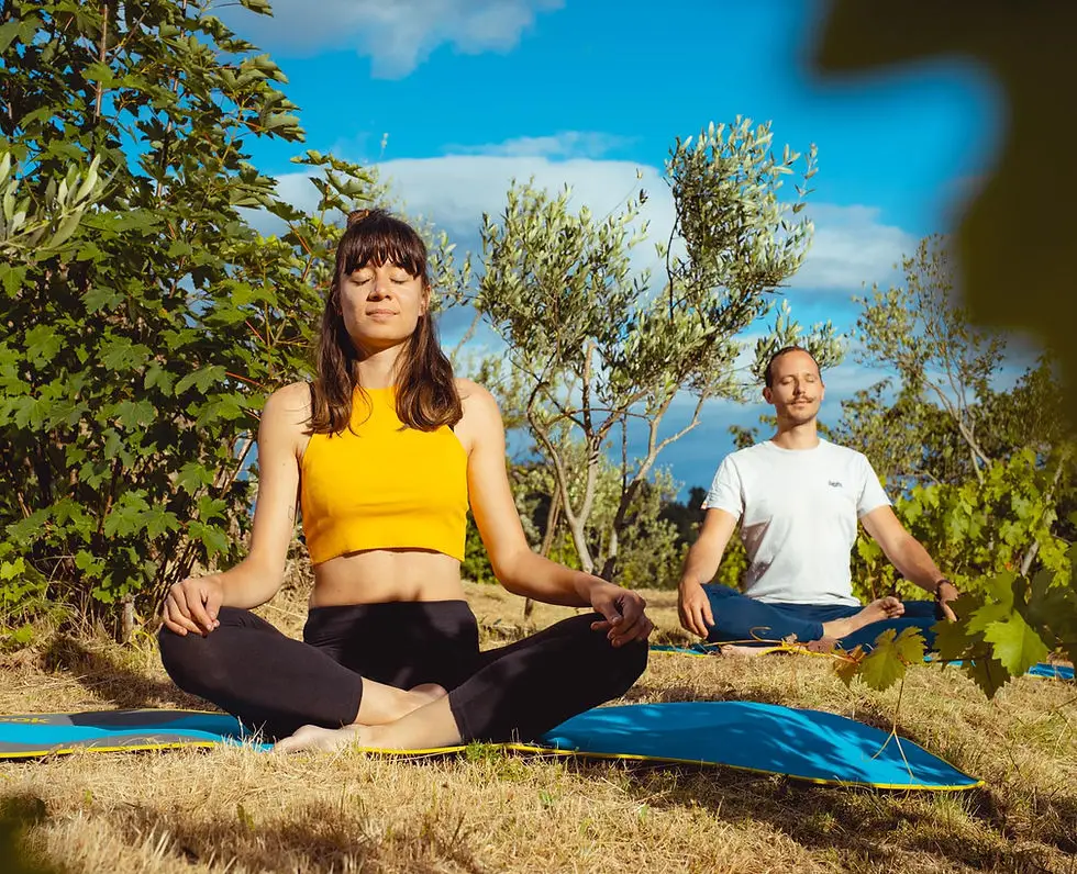 Kinitro - Wellness Better Vivre