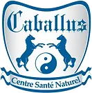 Centre Caballus