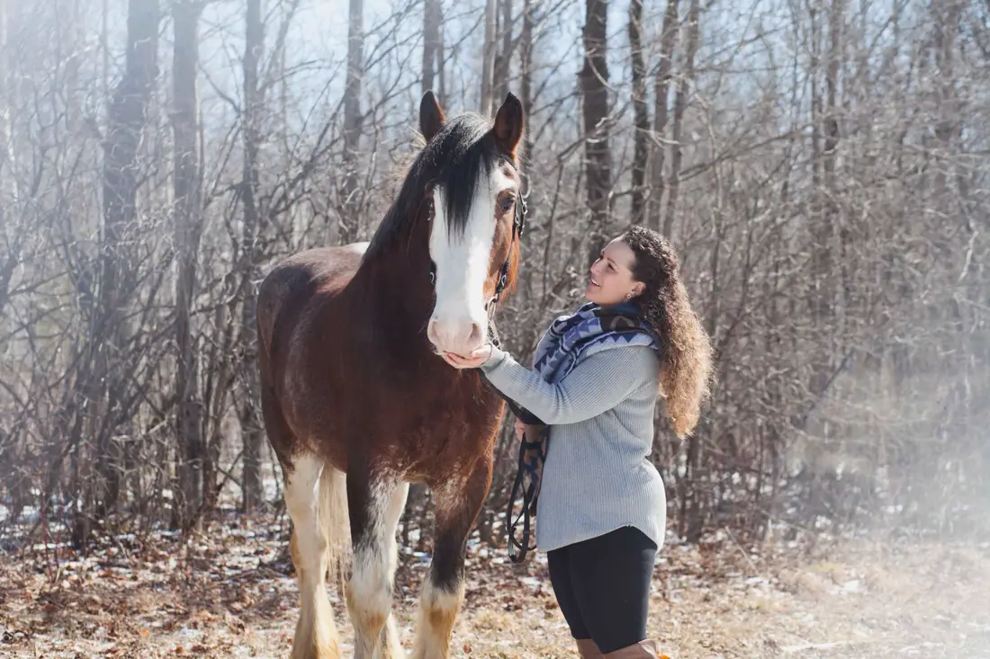 Ash Meadow Farms and Carriage Company