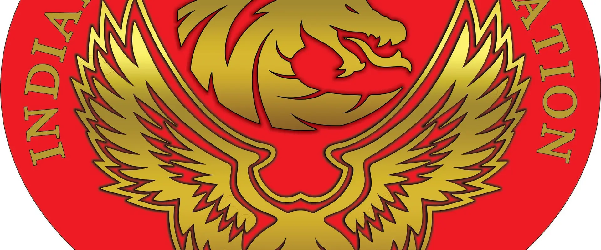 Indian Kung Fu Foundation
