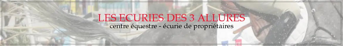 Les Ecuries Des Trois Allures