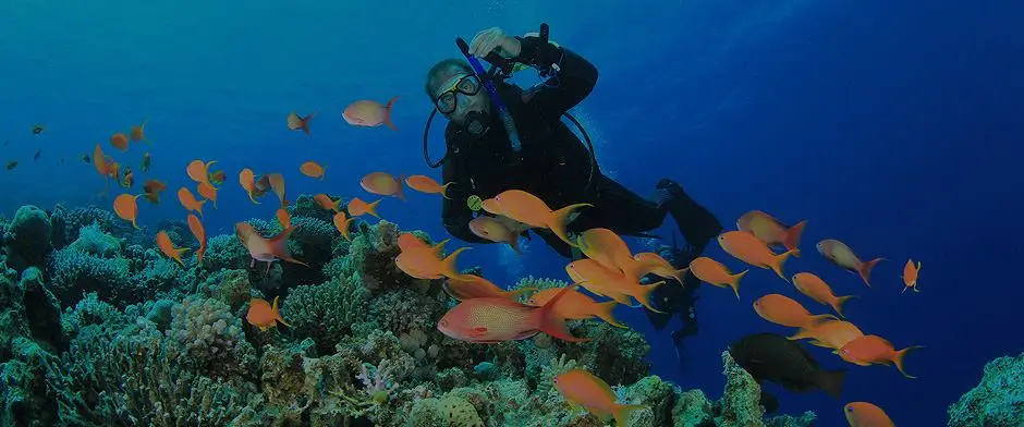 Adarsh scuba diving in tarkarli devbagh