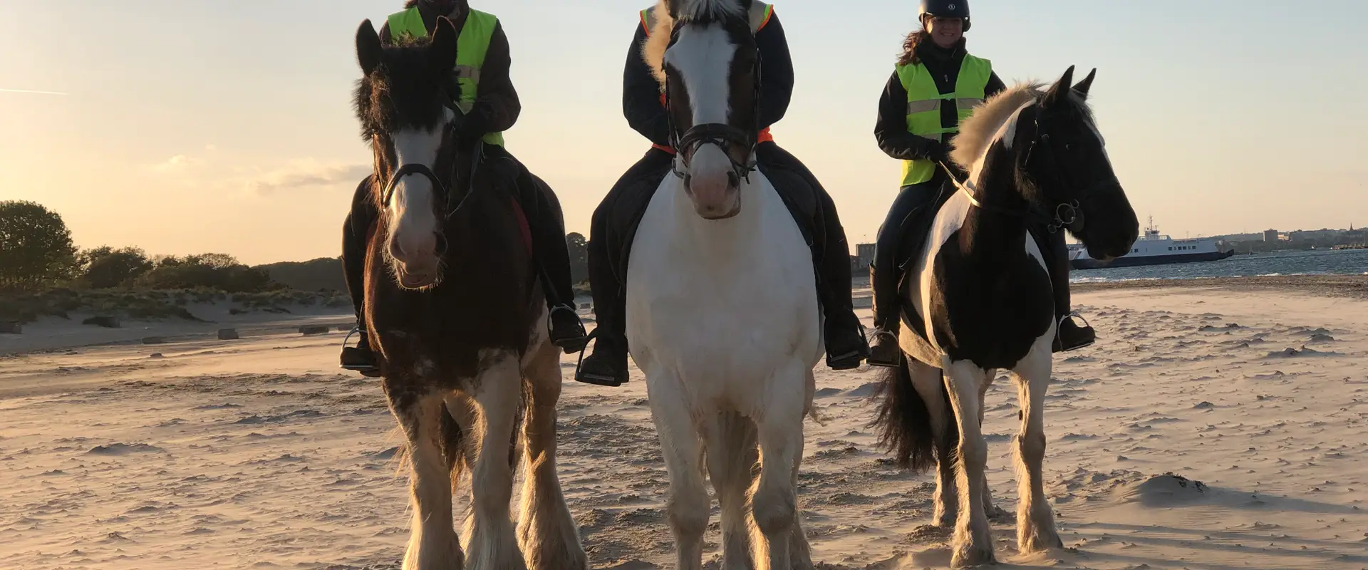 Studland Trekking Centre