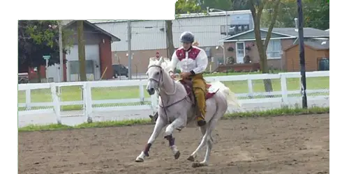 Sandelwood Stables