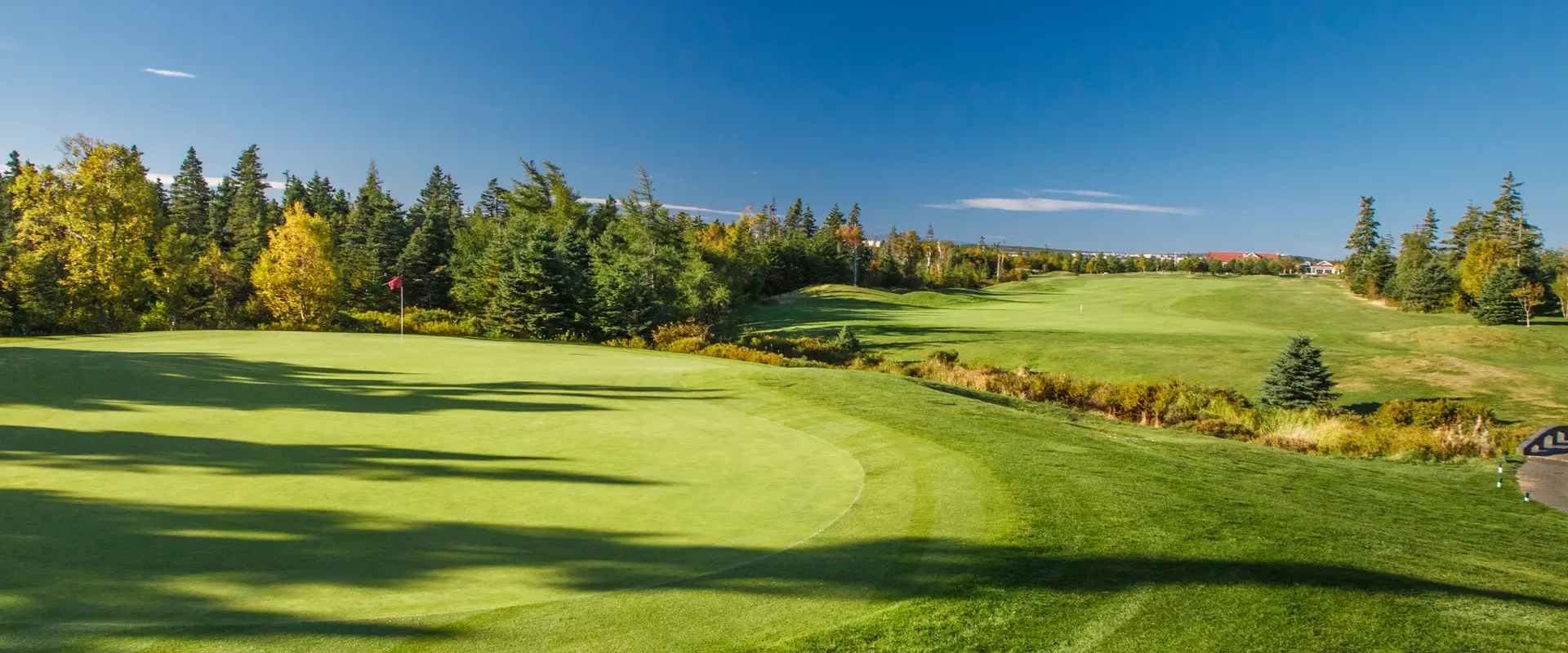 Bally Haly Country Club
