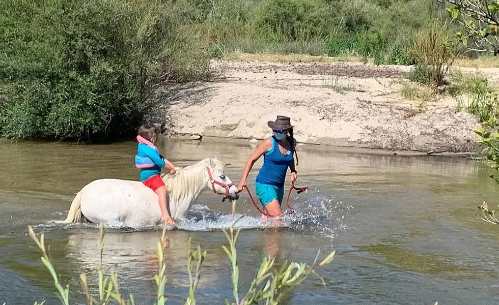 Les poneys de Filitosa Filithorse