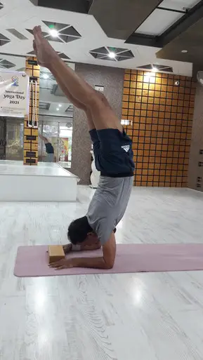 Shankara Ashtanga yoga