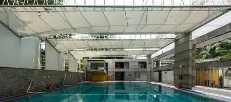 Candour5 swim club