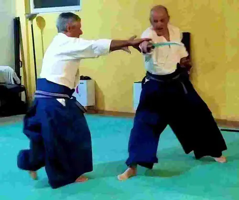 WA-JUTSU-CARPENTRAS-SAINT-DIDIER