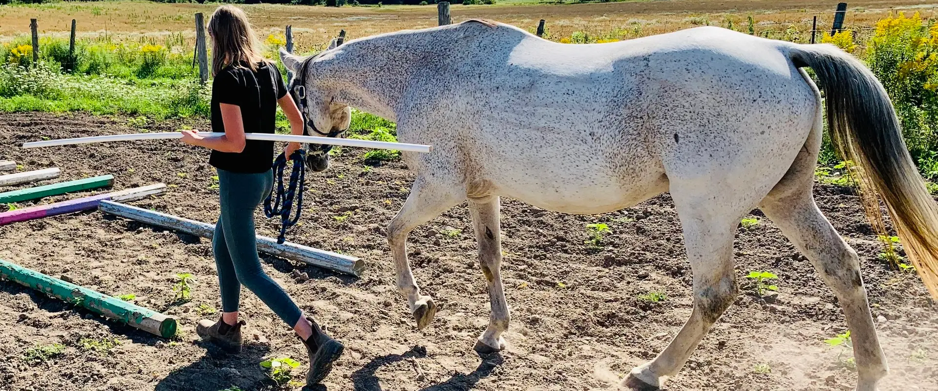 Swiftwind Equine Center