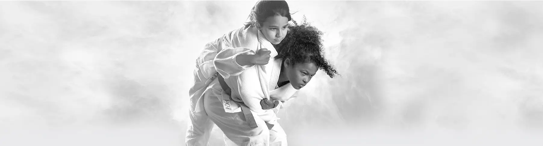 Judo Club De Bourg-Lès-Valence