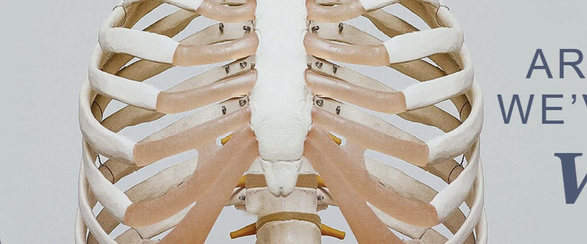 Yamba Physiotherapy & Sports Injuries Clinic