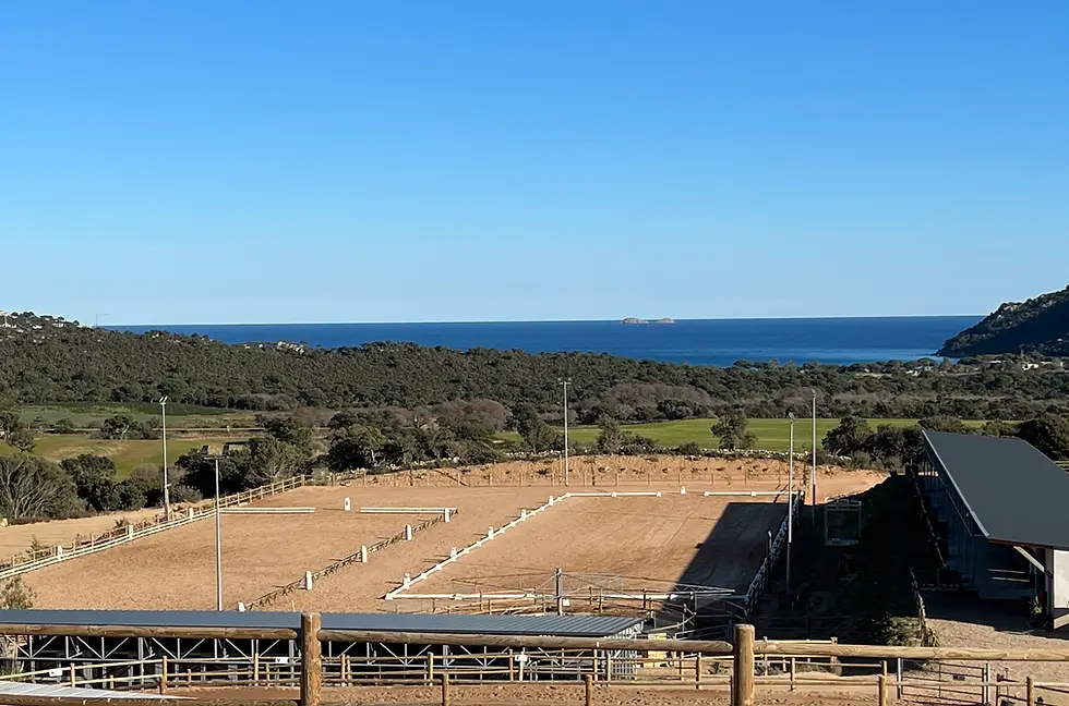 Equicomplice A Staffa