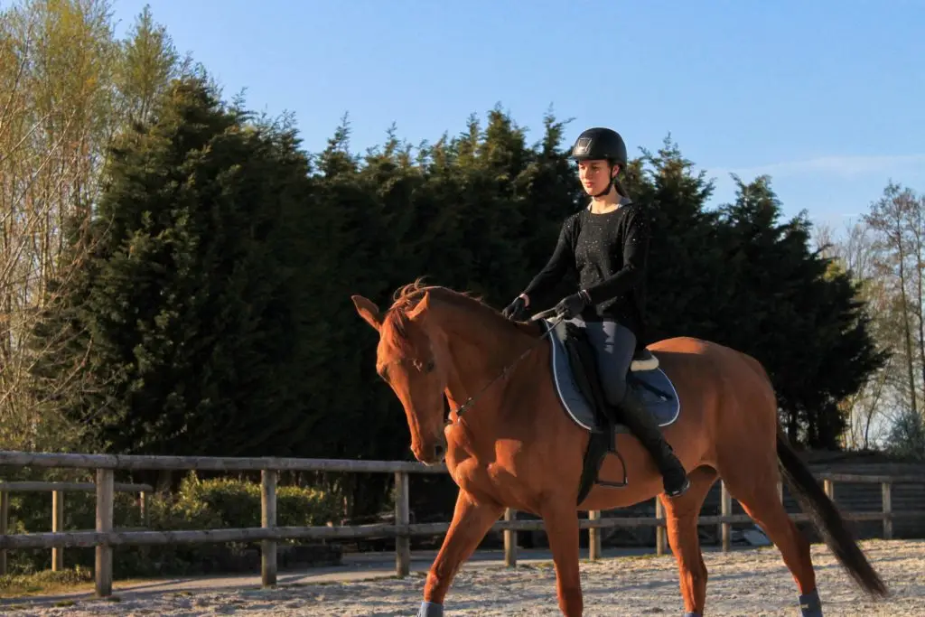 Elia Riding