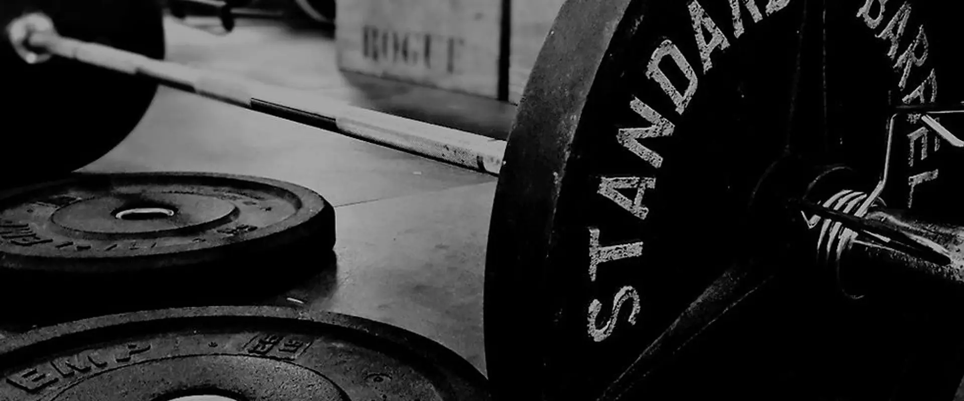 Steve Parkhill Fitness