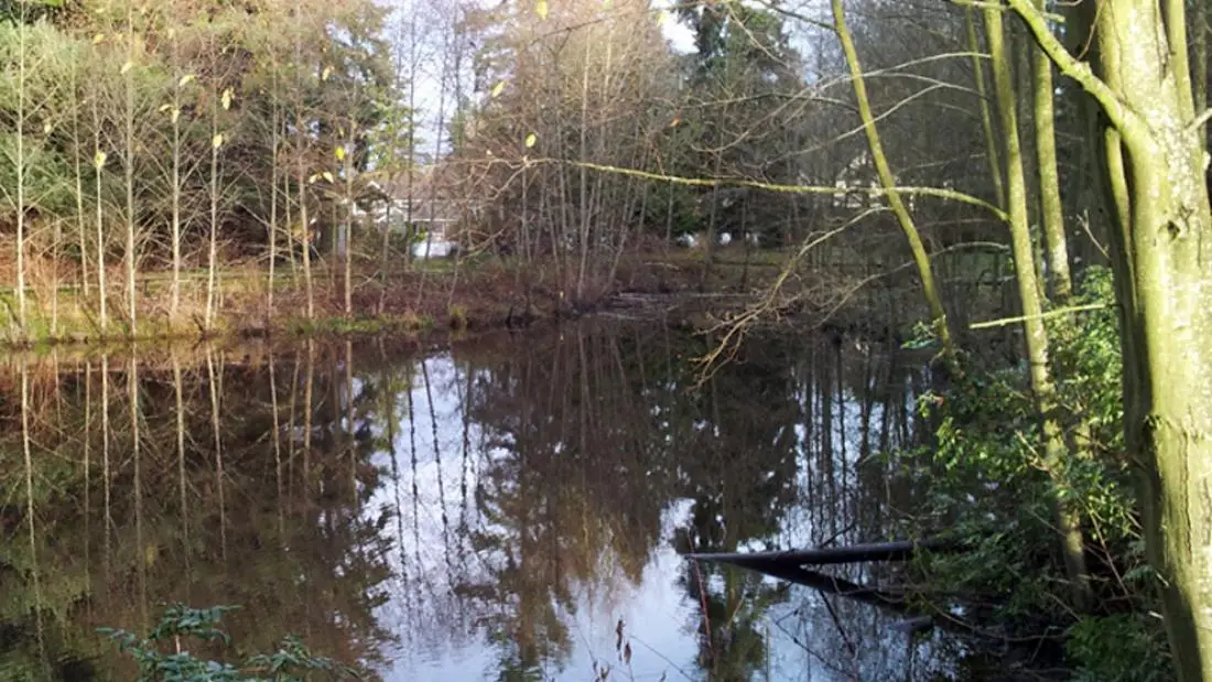 Chantrell Creek Park