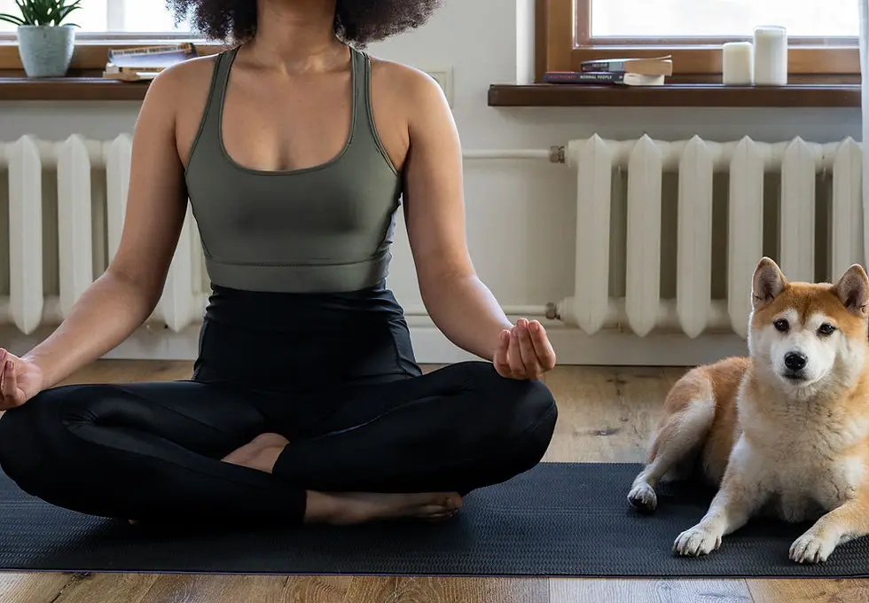 Black House Yoga Therapy Center