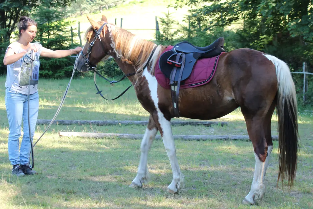 Equi'via Equithérapie
