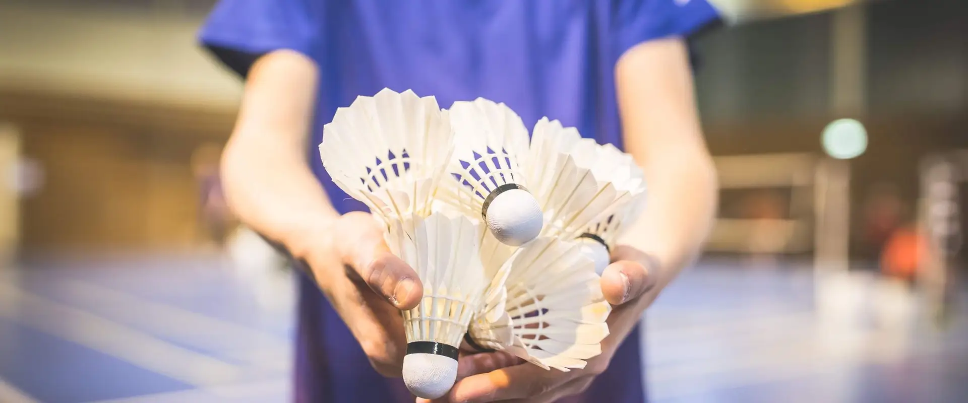 Badminton Club Lampertheim