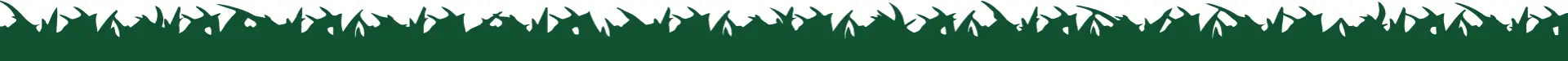 Dinosaur World Adventure Golf